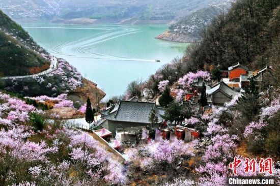 甘肅平?jīng)鍪惺侵袊鴥?yōu)秀旅游城市。圖為平?jīng)鲠轻忌较率锾一ㄊ㈤_。(資料圖) 平?jīng)鍪形麄鞑抗﹫D