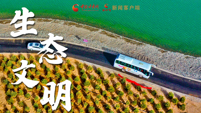 彈幕海報丨熱議甘肅省委十三屆十六次全會 網(wǎng)民聲音在回響!