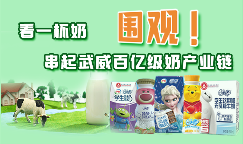 圖解|圍觀！看一杯奶串起武威百億級奶產業(yè)鏈