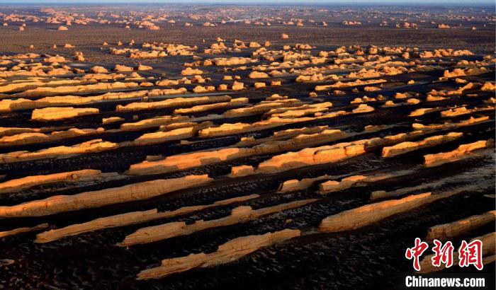 敦煌雅丹世界地質公園。(資料圖) 敦煌市委宣傳部供圖