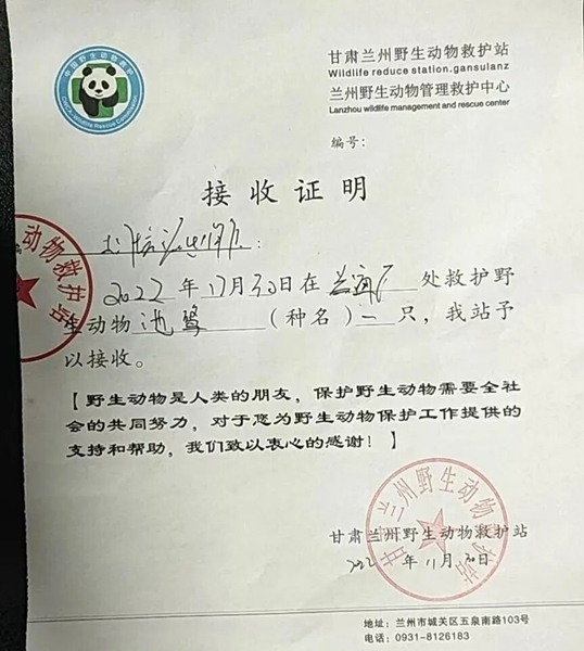 受到救助的池鷺被蘭州野生動物保護站接收。（蘭州市公安局七里河分局供圖）