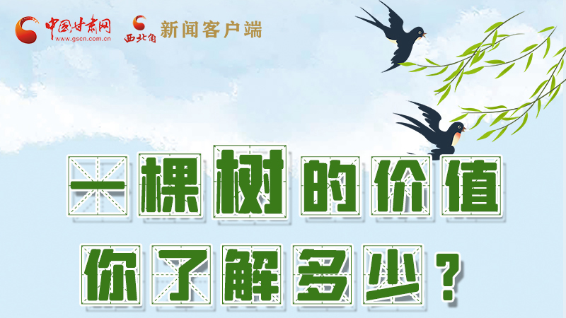 圖解|一棵樹的價(jià)值你了解多少?來看！