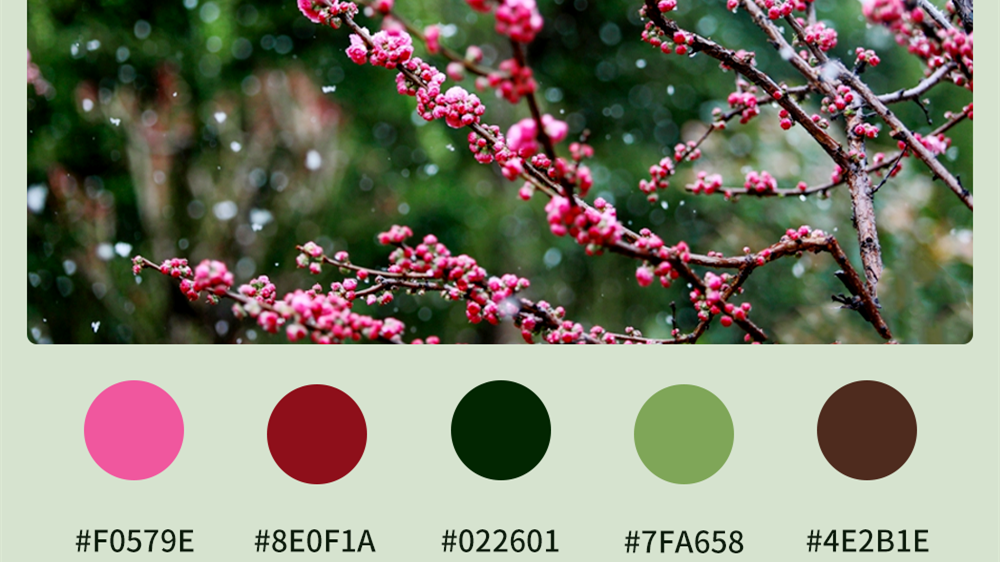 微海報(bào)|收藏！色卡里的春日甘肅