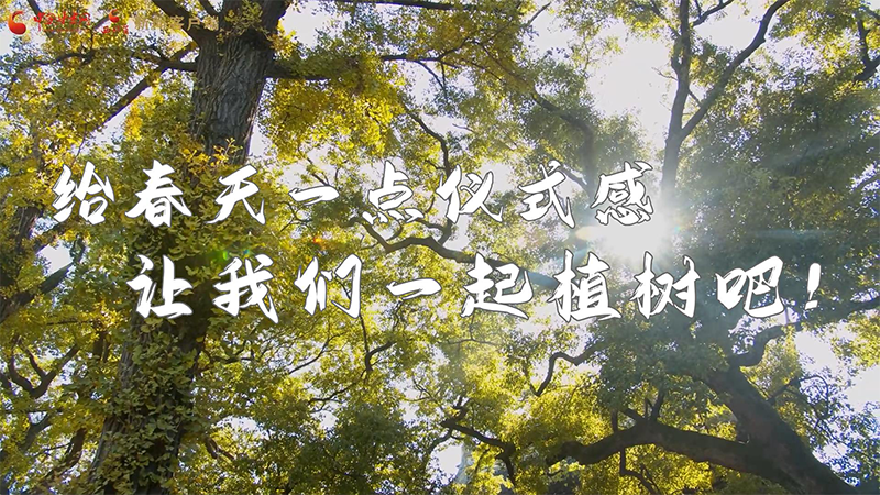 短視頻|給春天一點(diǎn)儀式感，讓我們一起植樹吧！
