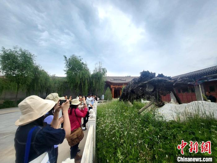 圖為媒體記者在青海永錄民俗參觀采訪?！⊙Φ?攝