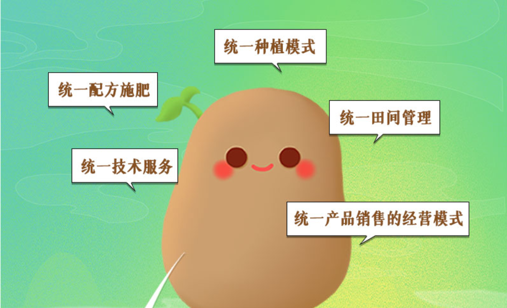 長圖丨甘肅馬鈴薯“升值記”：一顆土豆撬動一個產業(yè)