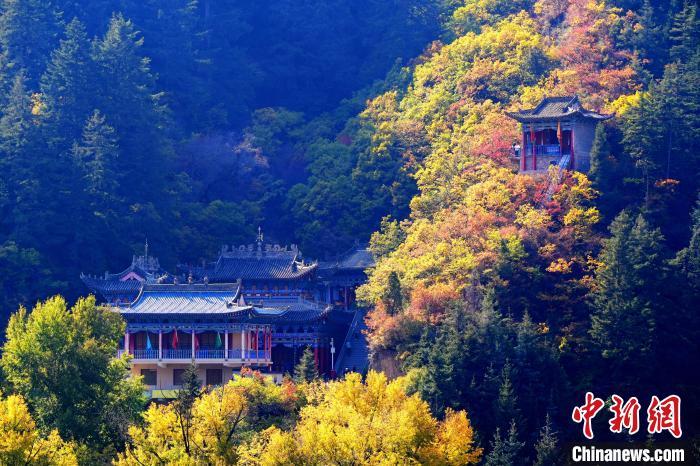 深秋，位于蘭州市榆中縣的興隆山景色如畫。宮衛(wèi)紅 攝