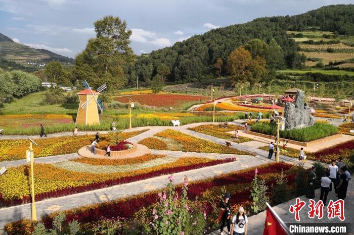圖為航拍甘肅甘南臨潭縣八角鎮(zhèn)，花海吸引游人。(資料圖)高展 攝