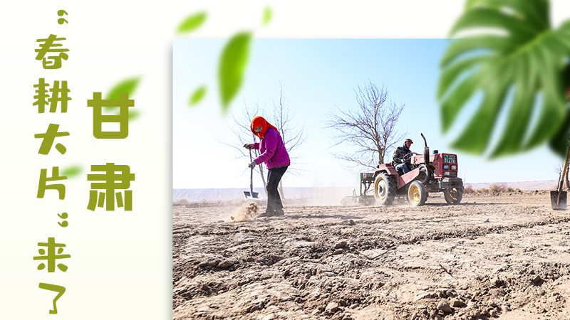 【甘快看】海報|瞧!甘肅“春耕大片”來了