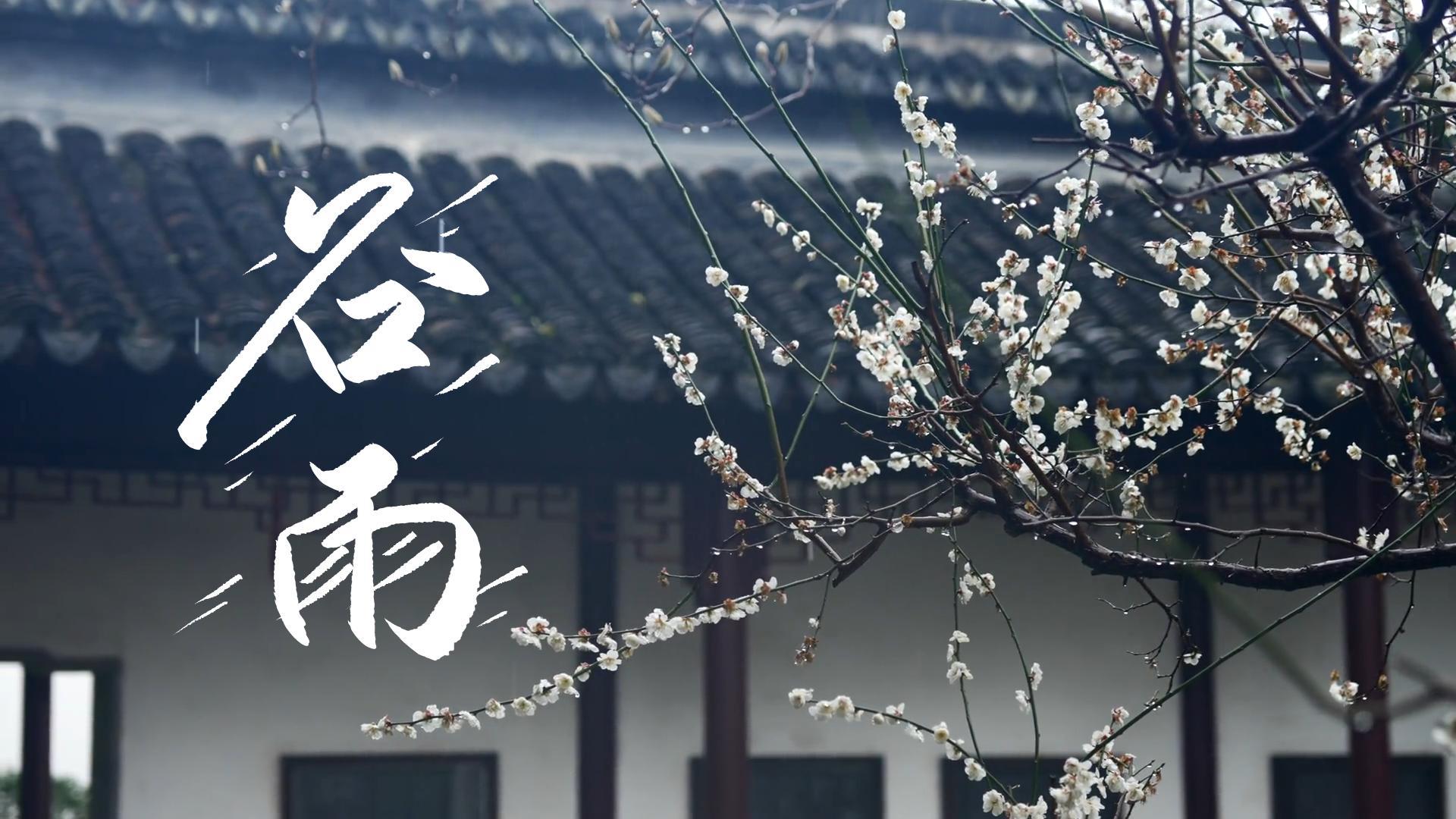 【節(jié)氣里的大美甘肅】谷雨，春天的最后一次回眸