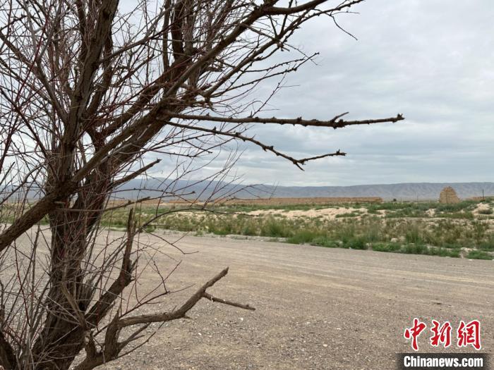 圖為位于長(zhǎng)城墻體上的“馬面”或“敵臺(tái)”。　戴文昌 攝