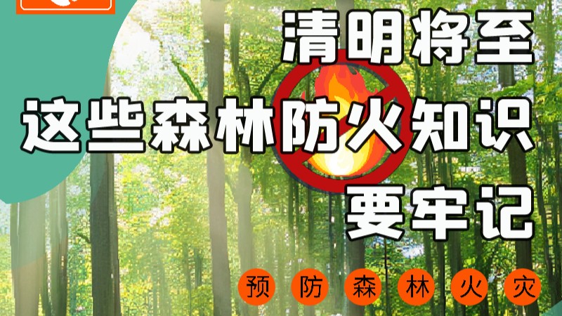 【甘快看】圖解|緊繃“安全弦”！清明，這些森林防火知識要牢記