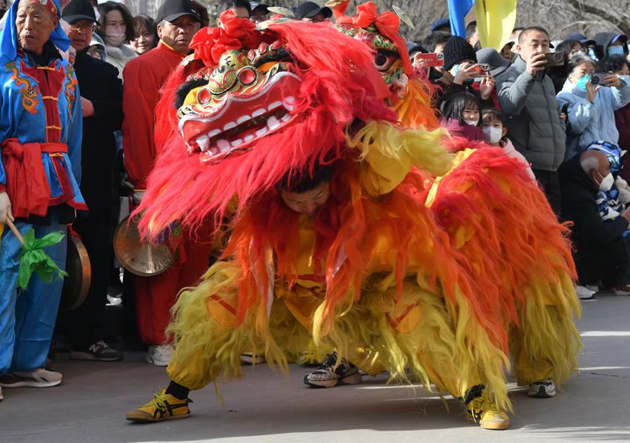 蘭州北獅表演現(xiàn)場。受訪者供圖