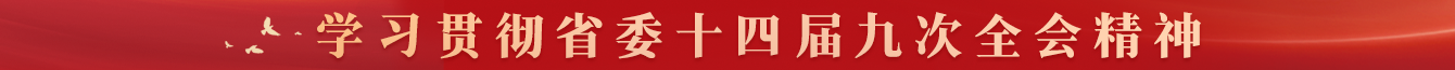 學(xué)習(xí)貫徹省委十四屆九次全會(huì)精神