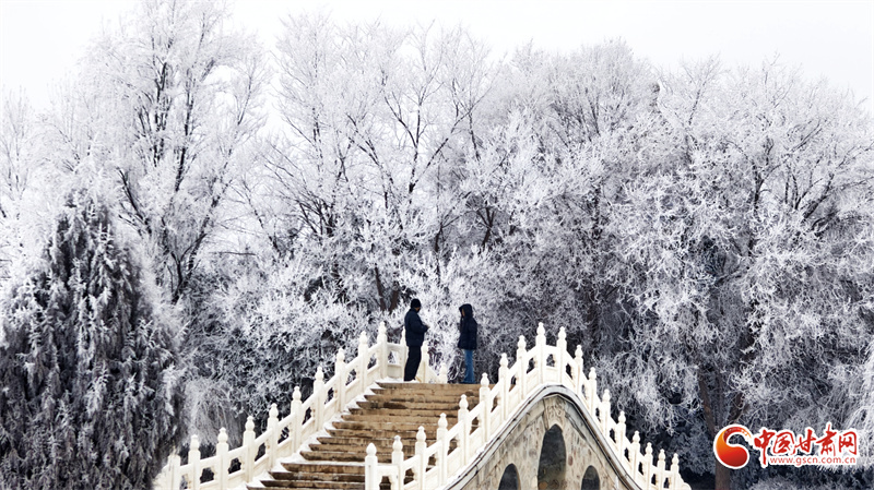 隴拍客丨民樂縣雪后霧?。罕眹鴫验熍c溫柔靜謐交織